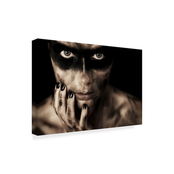 Bart Peeters 'Warpaint' Canvas Art,30x47